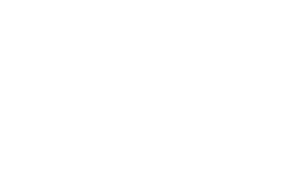 aceituna