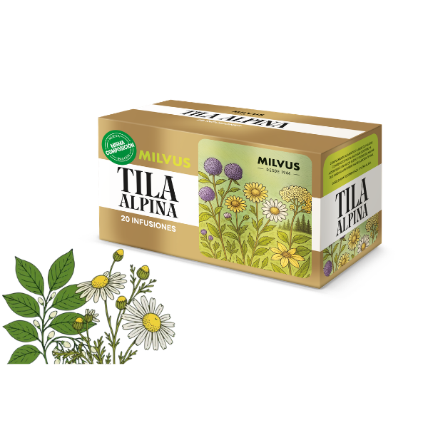 loreto-aceitunas-spanish-olives